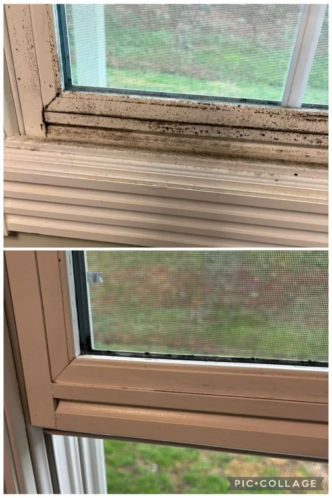 Top-rated outdoor landscaping for outdoor upgrades across Somerset, KY - Keep It Simple Cleaning