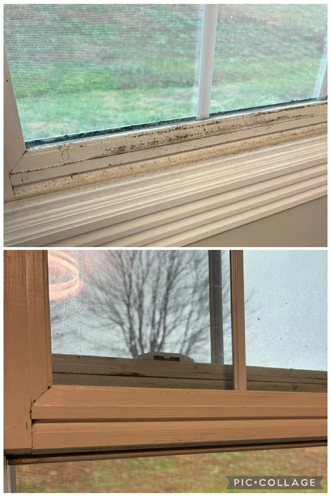 Expert landscaping services for beautiful yards in Somerset, KY by Keep It Simple Cleaning