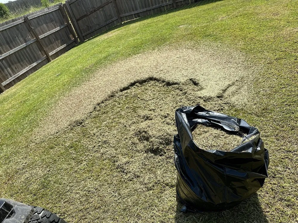 Professional landscape installation in Prairieville, LA - Keep It Tended & Cultivated