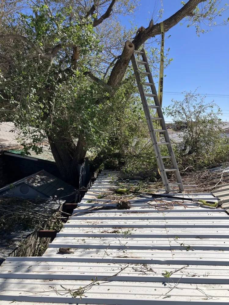 Custom residential landscaping experts serving Odessa, TX - Keep Odessa Green