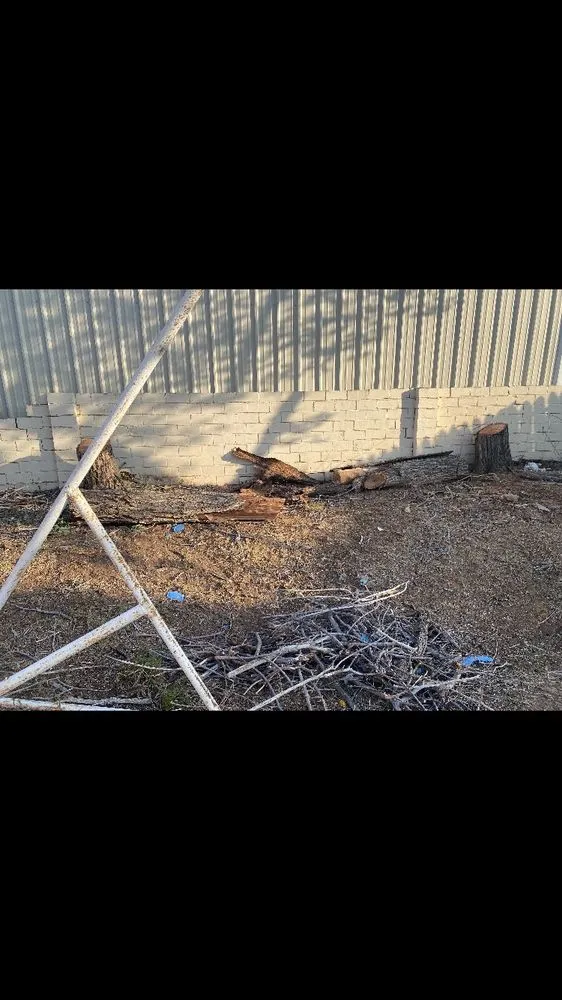 Custom landscape design for year-round maintenance across Odessa, TX - Keep Odessa Green