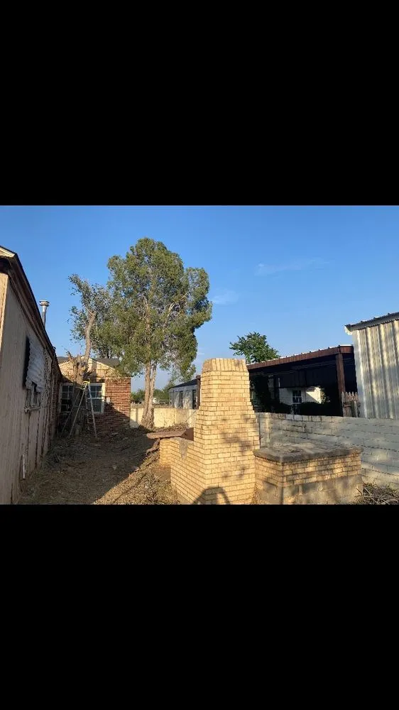 Trusted yard cleanup service for beautiful yards in Odessa, TX by Keep Odessa Green