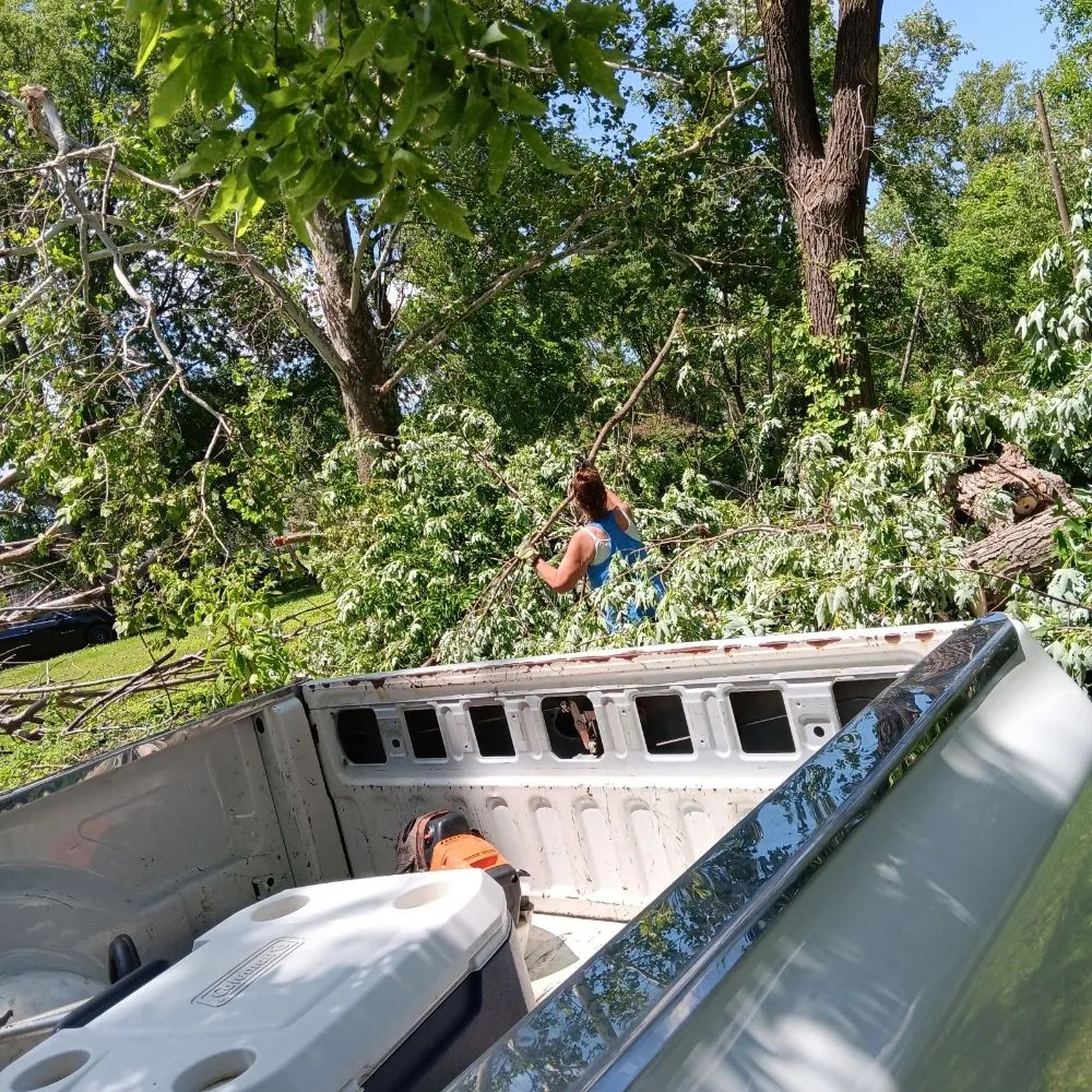 Reliable landscaping services experts serving Chaffee, MO - Keeper of the Greens