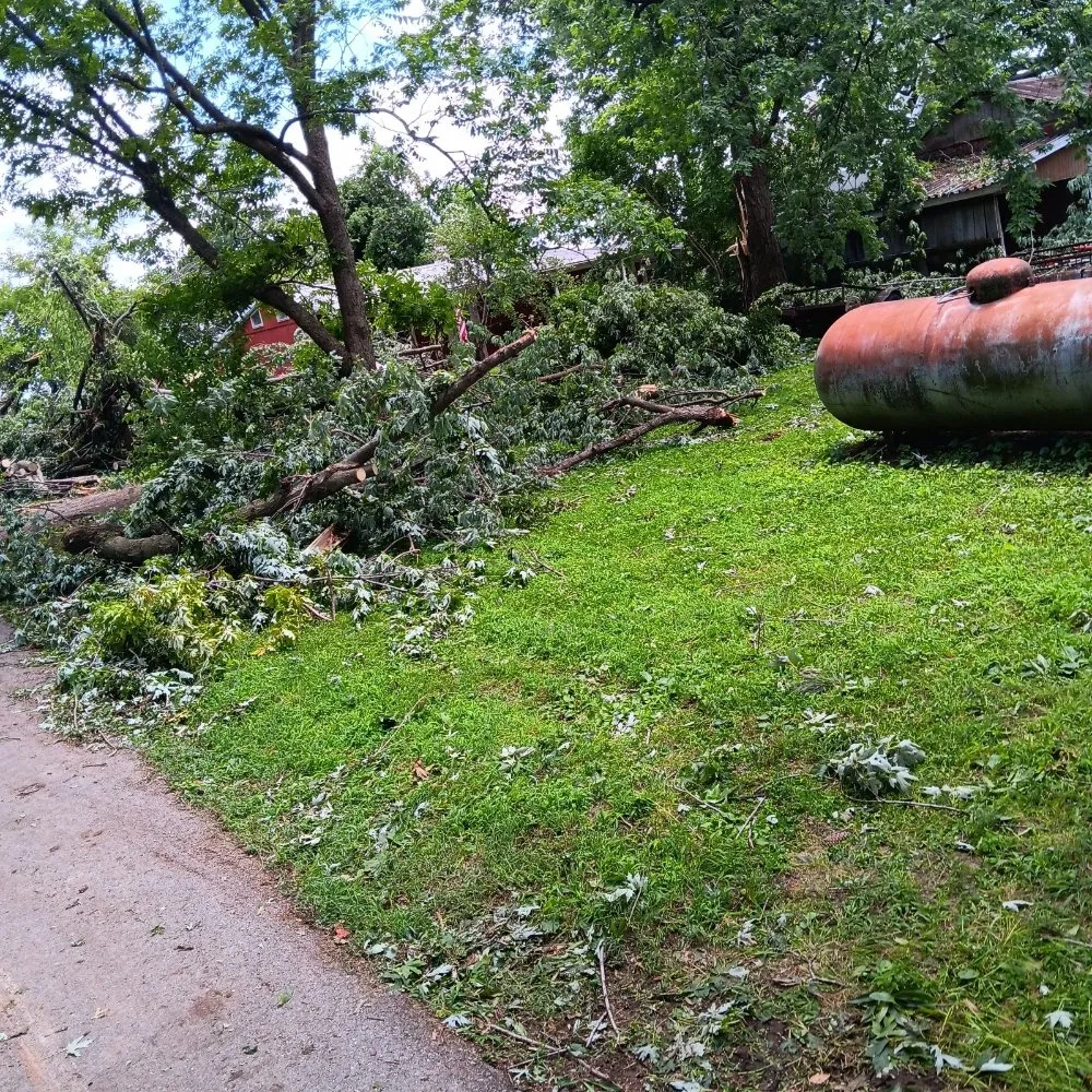 Affordable lawn care service for year-round maintenance in Chaffee, MO by Keeper of the Greens