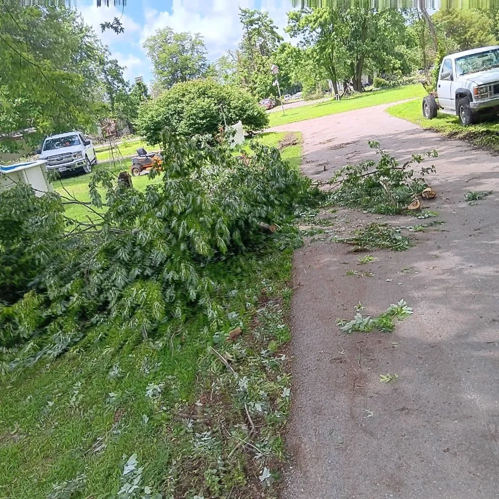 Local landscape design experts serving Chaffee, MO - Keeper of the Greens