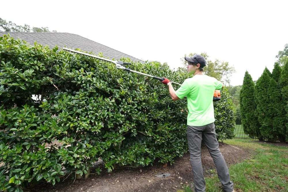 Trusted landscape installation for outdoor upgrades in Concord, TN by Keepers Lawn Care