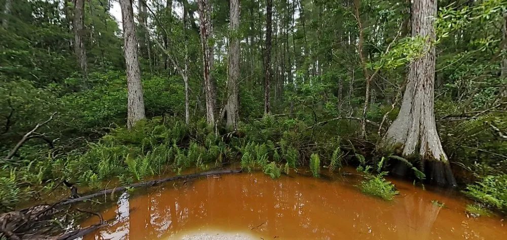 Custom residential landscaping in Fort Myers, FL by Keepin' Dirty