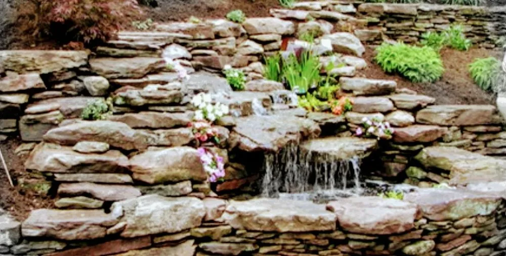 Professional yard maintenance for year-round maintenance across Fort Myers, FL - Keepin' Dirty