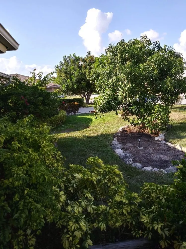 Local yard maintenance in Fort Myers, FL - Keepin' Dirty