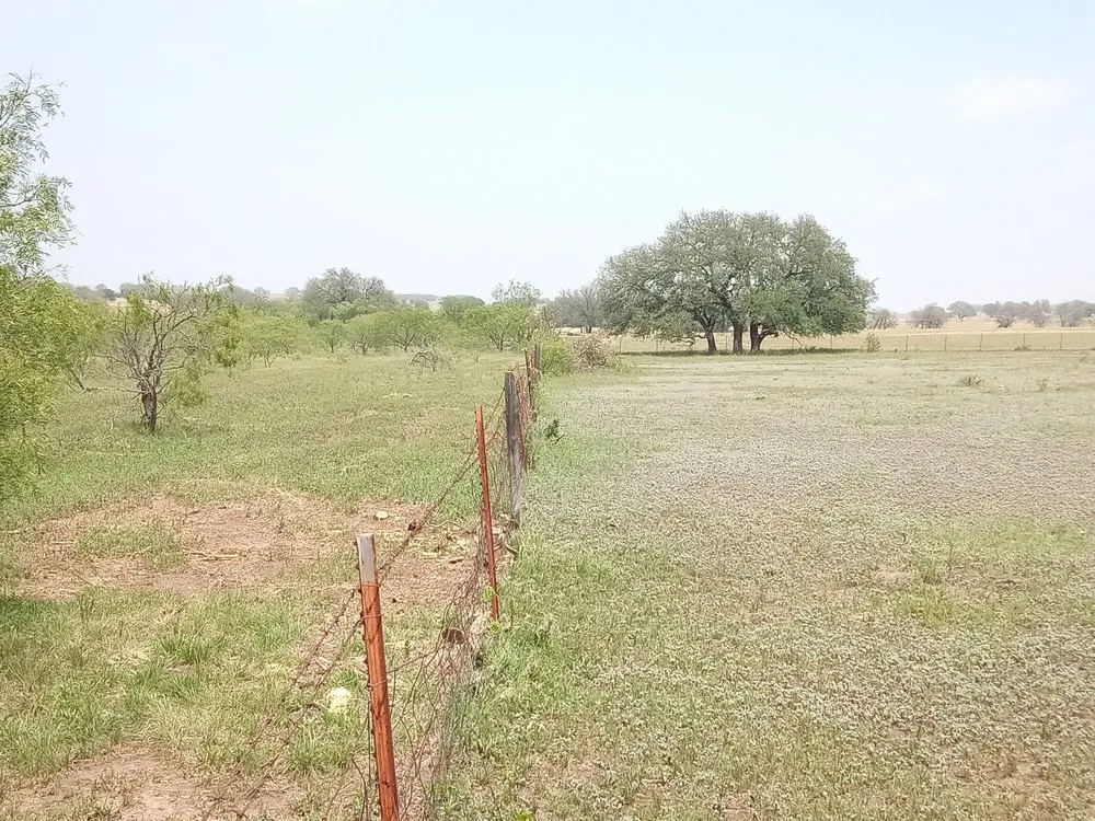 Reliable lawn care service experts serving Early, TX - Keepin' Em Twisted Wildlife and Land Cultivation