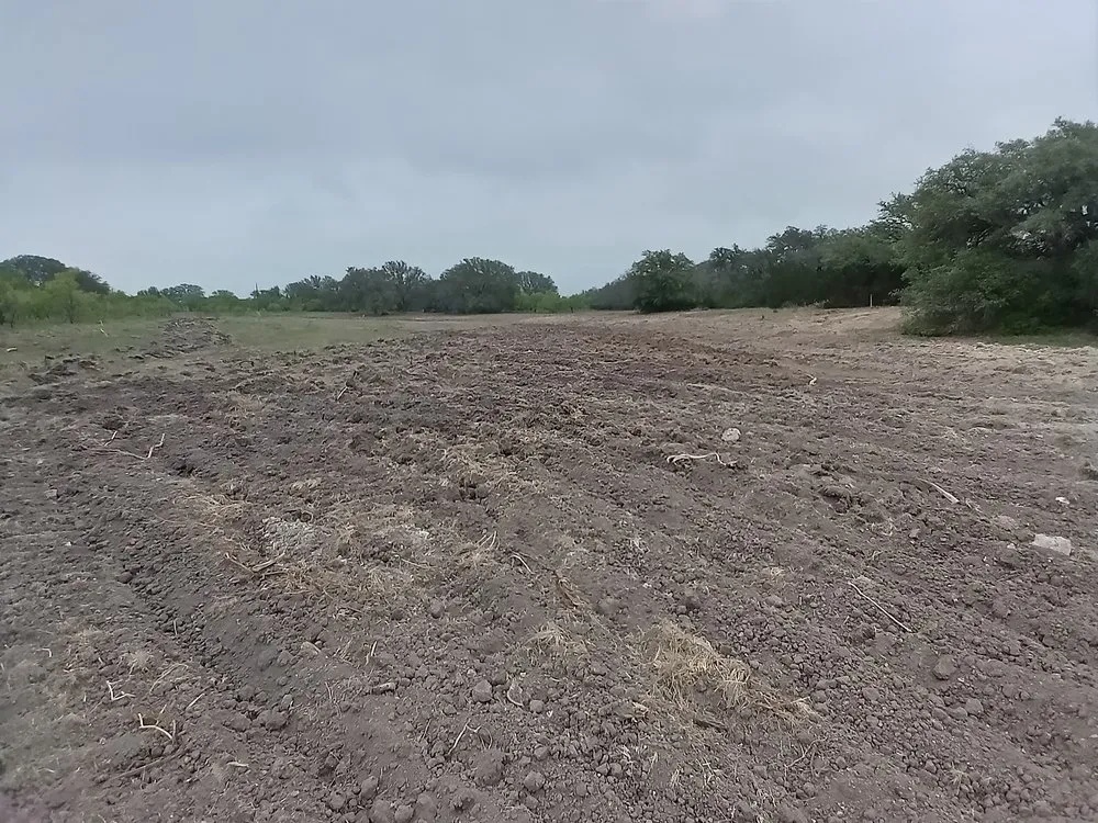 Trusted landscape design for residential properties across Early, TX - Keepin' Em Twisted Wildlife and Land Cultivation