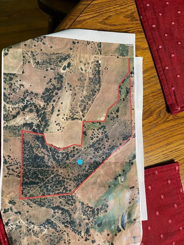 Expert lawn mowing service experts serving Early, TX - Keepin' Em Twisted Wildlife and Land Cultivation