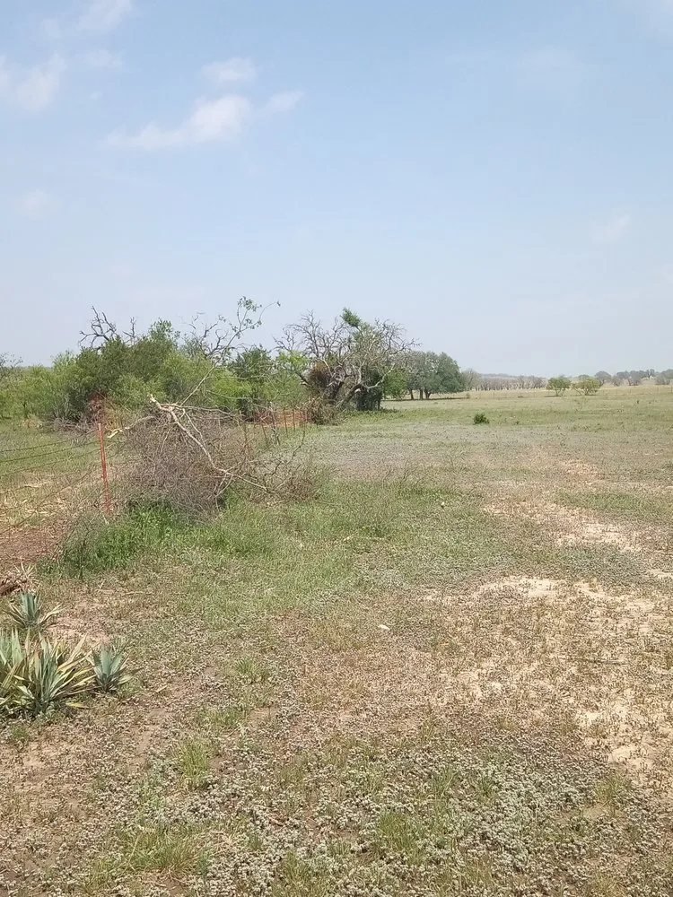 Affordable landscape design experts serving Early, TX - Keepin' Em Twisted Wildlife and Land Cultivation