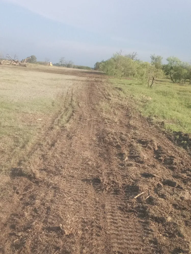 Expert yard cleanup service experts serving Early, TX - Keepin' Em Twisted Wildlife and Land Cultivation