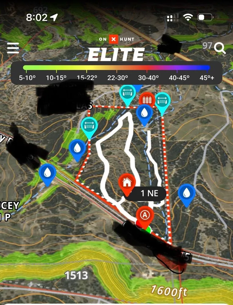 Reliable yard cleanup service for year-round maintenance in Early, TX by Keepin' Em Twisted Wildlife and Land Cultivation