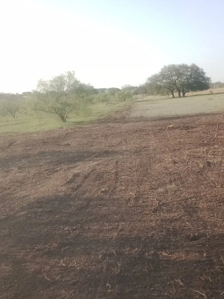 Trusted landscaping services in Early, TX by Keepin' Em Twisted Wildlife and Land Cultivation