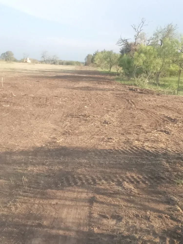 Reliable yard cleanup service in Early, TX by Keepin' Em Twisted Wildlife and Land Cultivation