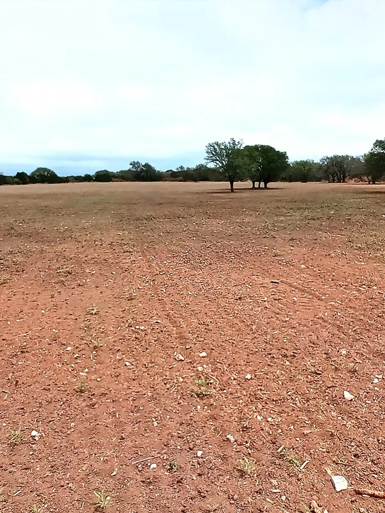 Expert yard maintenance in Early, TX - Keepin' Em Twisted Wildlife and Land Cultivation