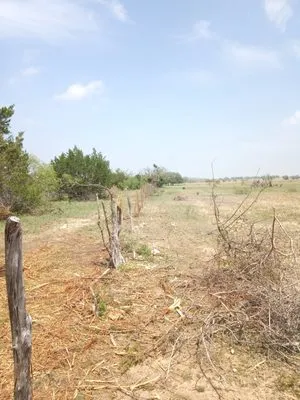 Keepin' Em Twisted Wildlife and Land Cultivation