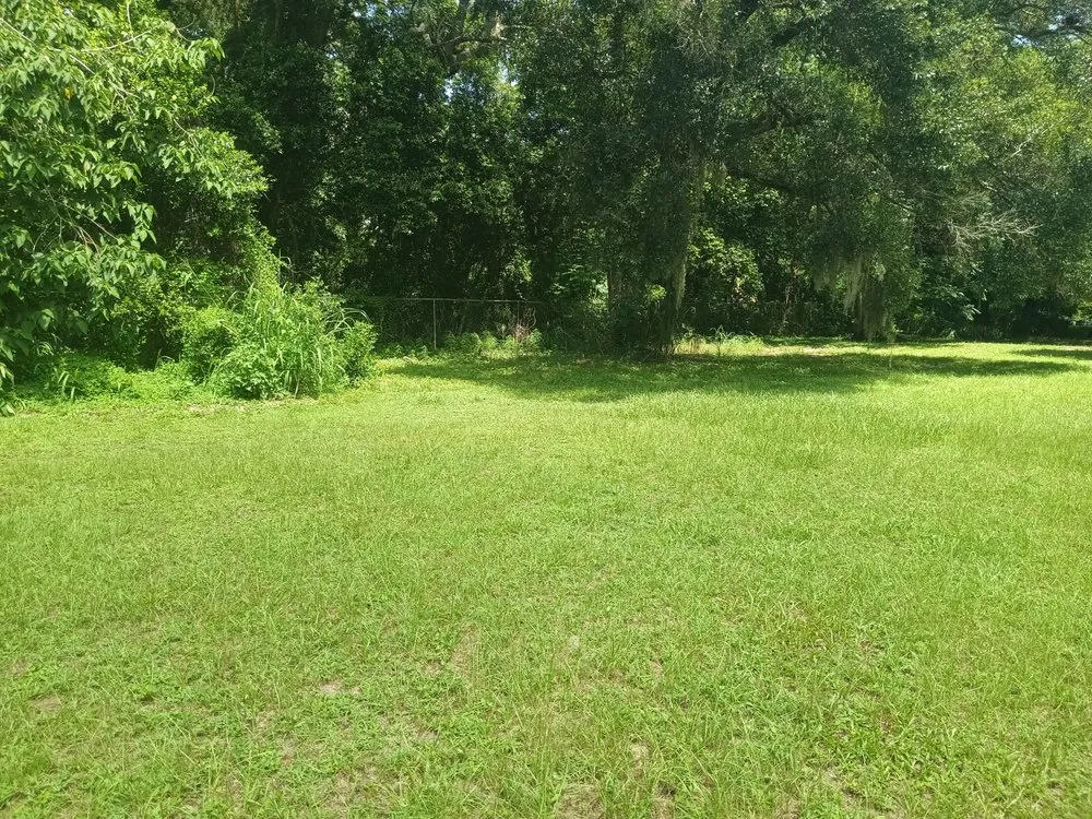 Trusted lawn care service in Mount Dora, FL - Keepin On The Green Lawn Service