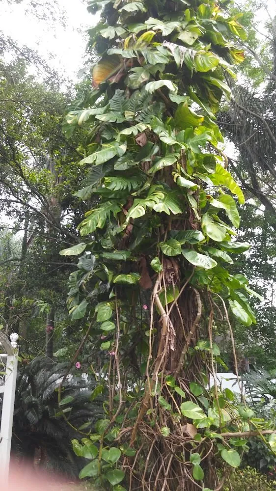 Reliable landscape design experts serving Mount Dora, FL - Keepin On The Green Lawn Service