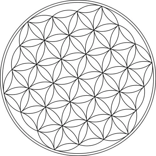 Reliable landscape design for year-round maintenance in McAllen, TX by Keeping Earth Alive Landscaping And Nursery