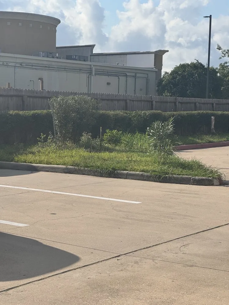 Affordable yard maintenance near you in Houston, TX by Keeping Grass Green Lawn Care