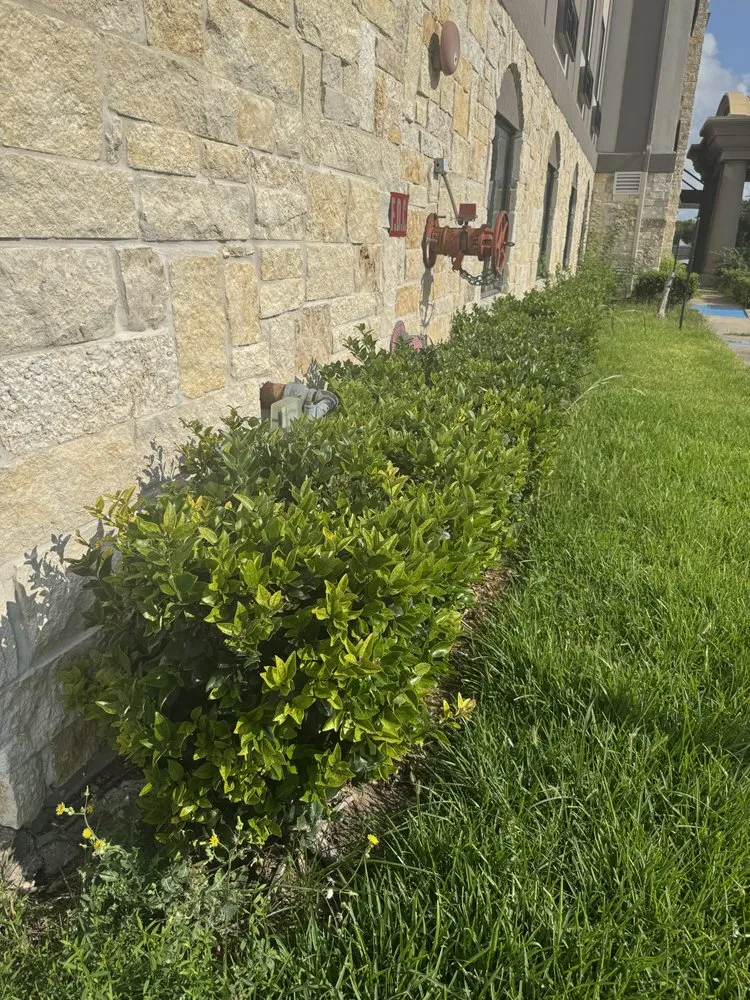 Trusted landscape installation for homes in Houston, TX by Keeping Grass Green Lawn Care
