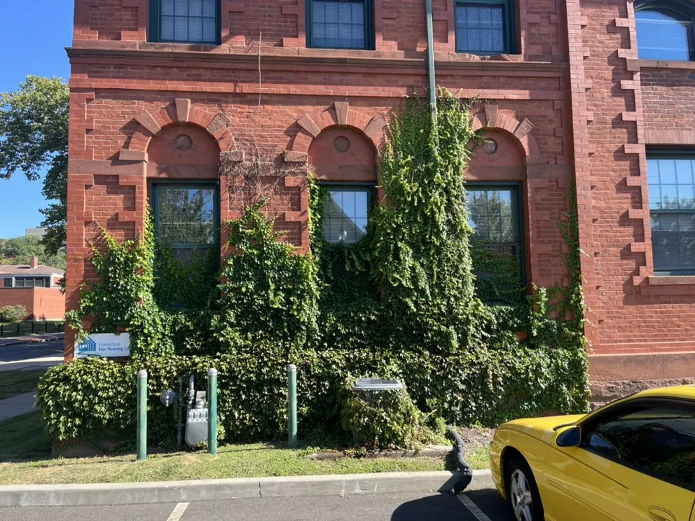 Professional lawn care service in Glastonbury, CT by Keeping it Clean Landscaping