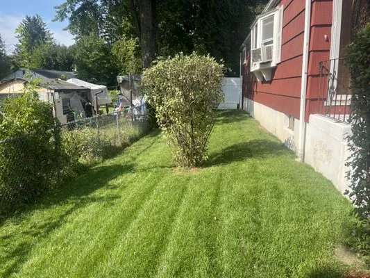 Keeping it Clean Landscaping Logo