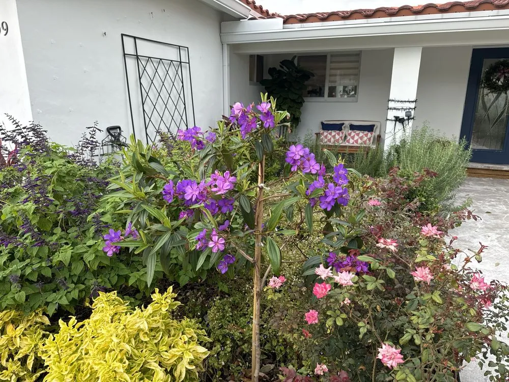 Top-rated landscaping services for outdoor upgrades in Coral Springs, FL by Keeping iT Green