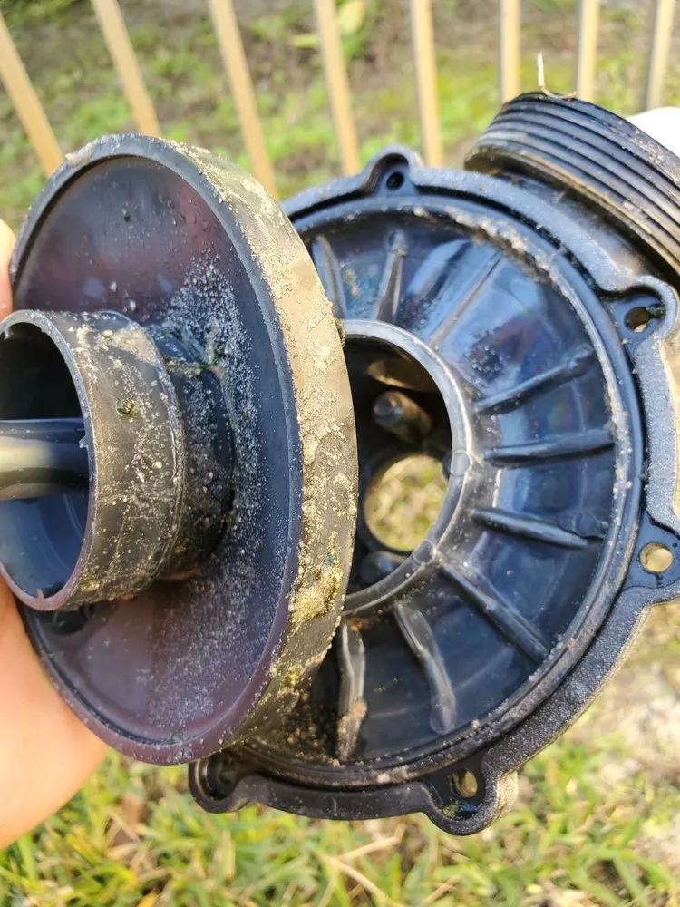 Local landscaping services for year-round maintenance across Coral Springs, FL - Keeping iT Green