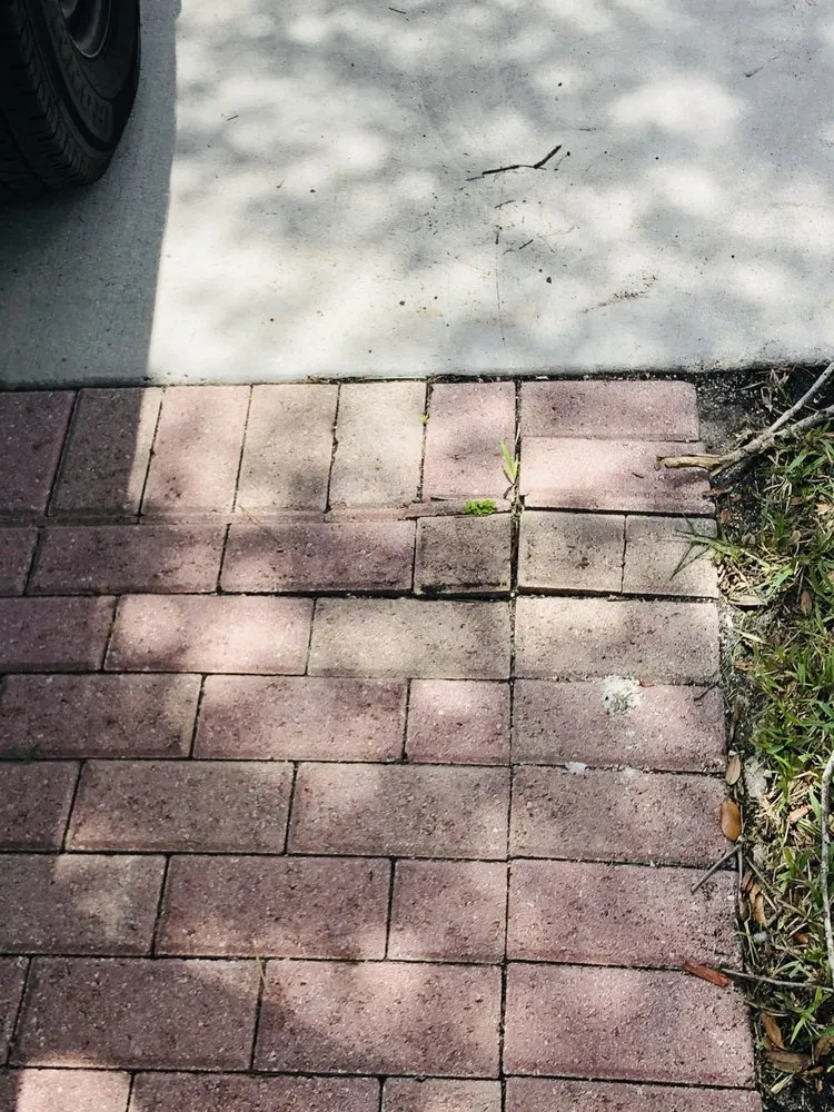 Affordable landscaping services in Coral Springs, FL - Keeping iT Green