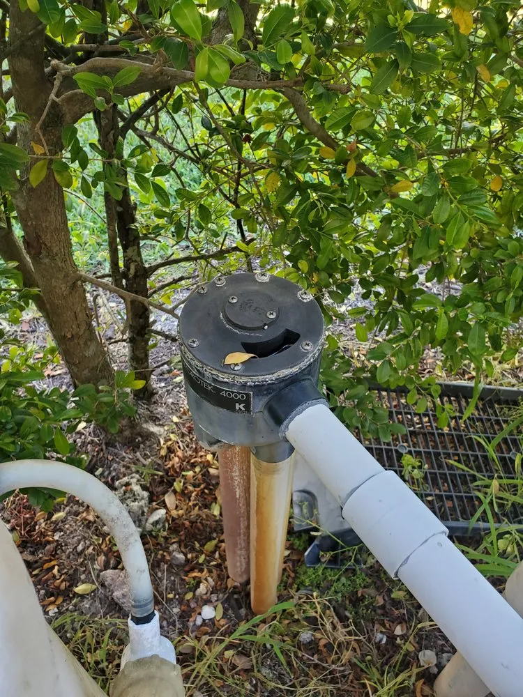 Affordable yard cleanup service for outdoor upgrades across Coral Springs, FL - Keeping iT Green