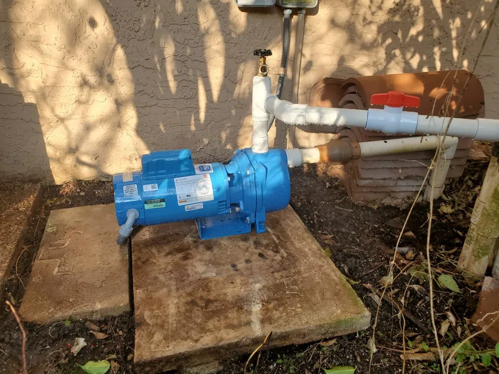 Top-rated landscaping services for homes in Coral Springs, FL by Keeping iT Green