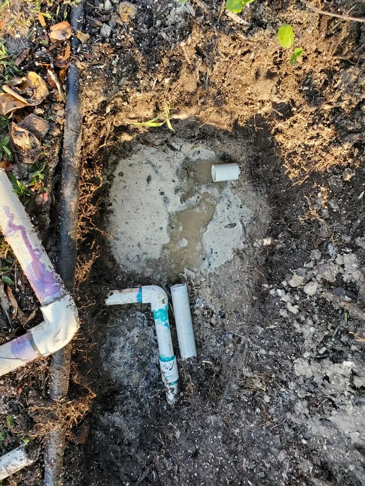 Professional landscape design experts serving Coral Springs, FL - Keeping iT Green