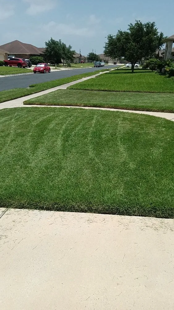 Trusted garden landscaping in Corpus Christi, TX by Keeping It Green