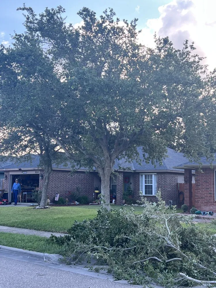 Trusted yard maintenance in Corpus Christi, TX - Keeping It Green