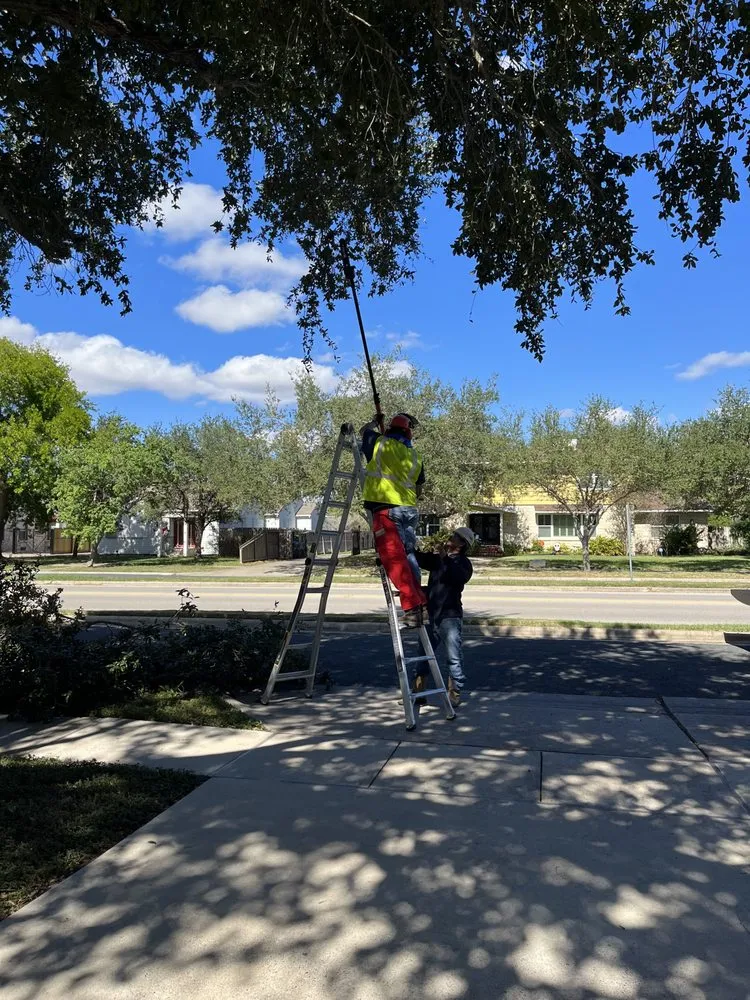 Top-rated yard cleanup service for homes in Corpus Christi, TX by Keeping It Green