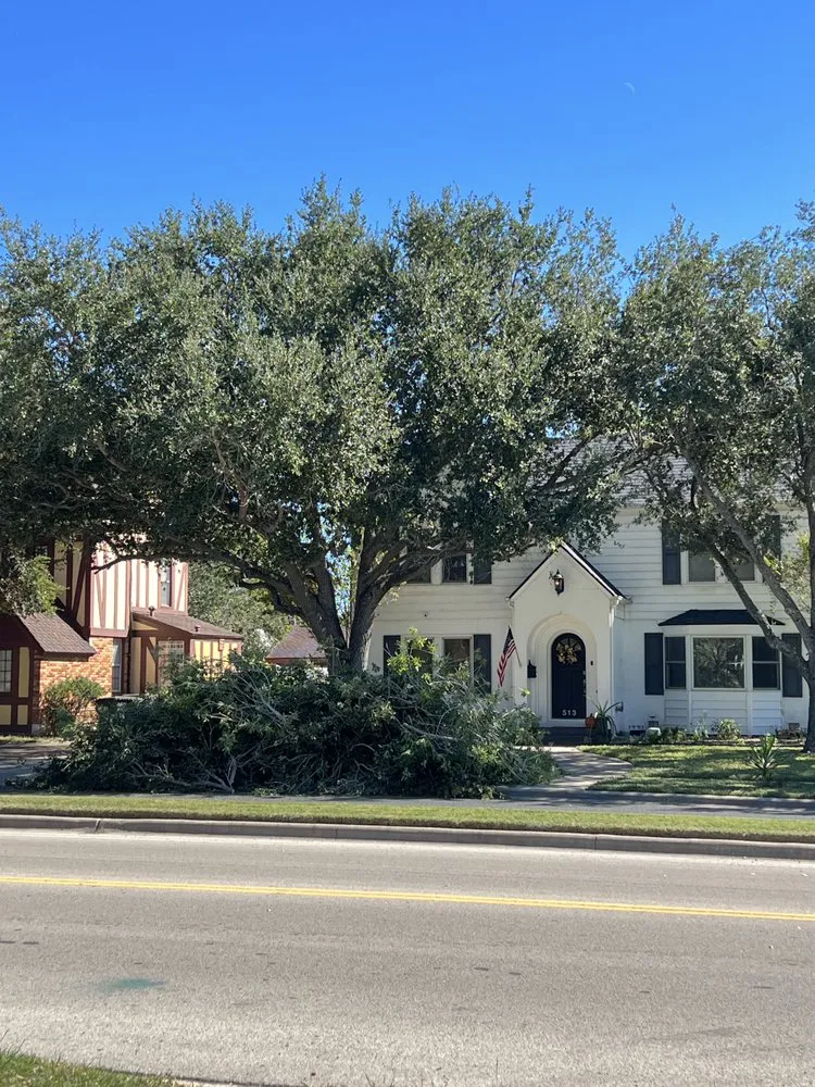 Top-rated yard maintenance for homes in Corpus Christi, TX by Keeping It Green