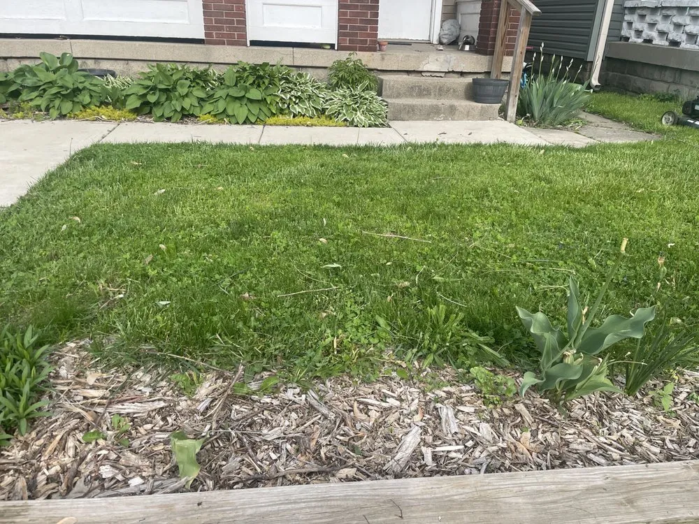 Top-rated lawn mowing service in Indianapolis, IN by Keeping It Green