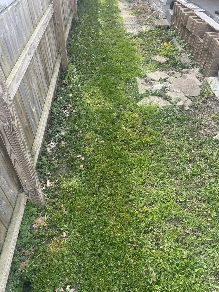 Custom lawn mowing service in Indianapolis, IN - Keeping It Green