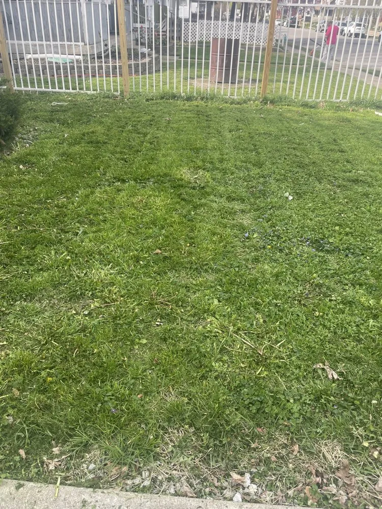 Professional landscaping services in Indianapolis, IN by Keeping It Green