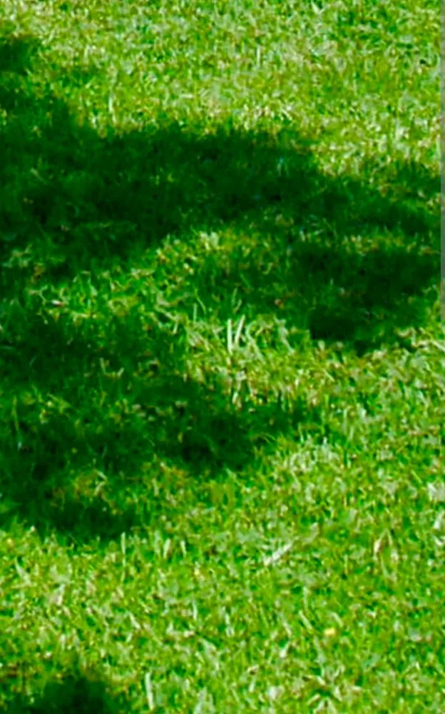 Expert landscaping services for residential properties in Indianapolis, IN by Keeping It Green