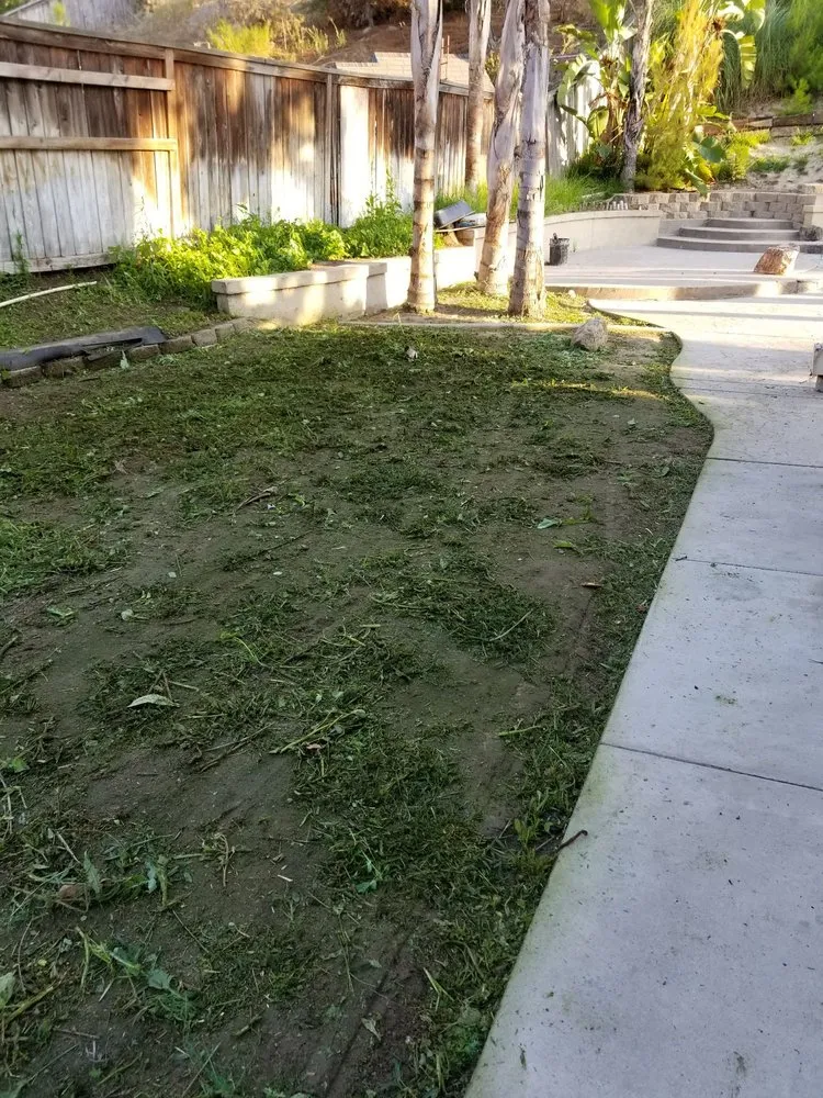 Top-rated landscape design for residential properties in San Diego, CA by Keeping it Green Landscape