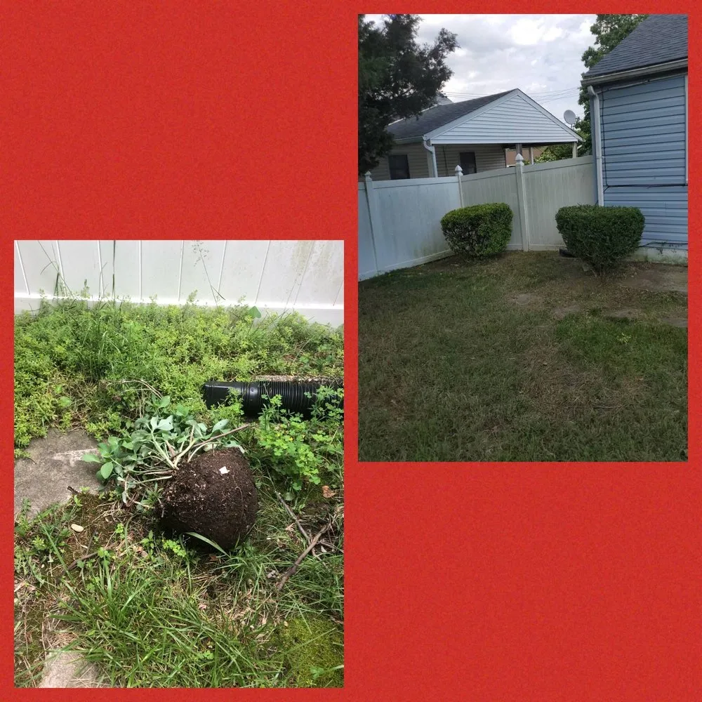 Trusted landscaping services in Capitol Heights, MD - Keeping It Green Landscaping