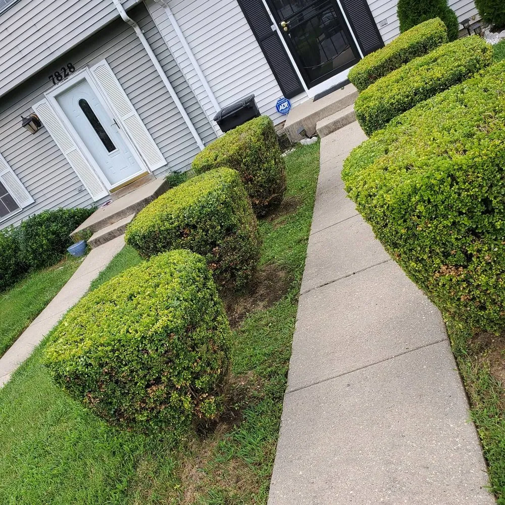 Custom outdoor landscaping in Capitol Heights, MD by Keeping It Green Landscaping