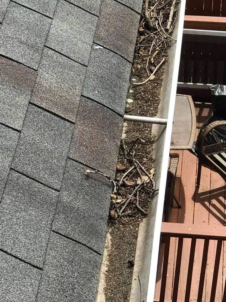 Professional yard cleanup service in Capitol Heights, MD - Keeping It Green Landscaping