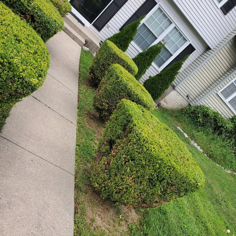 Reliable residential landscaping near you in Capitol Heights, MD by Keeping It Green Landscaping