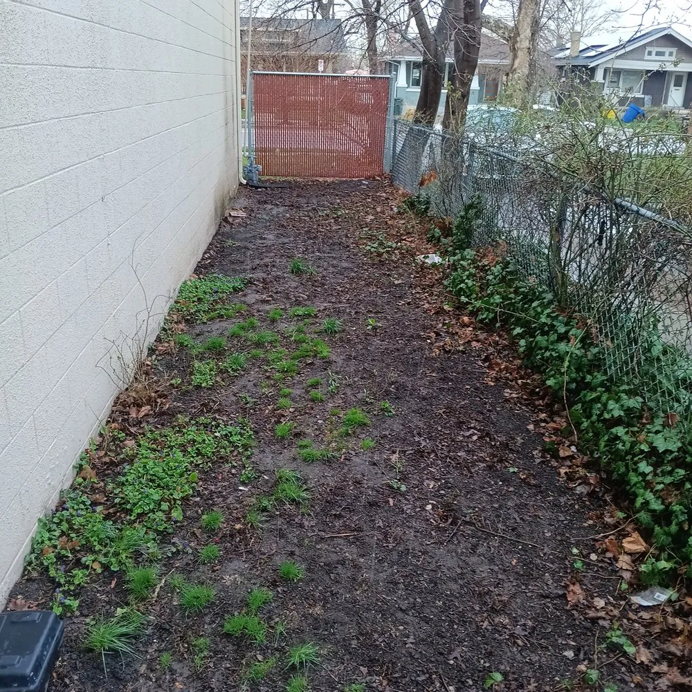 Local yard maintenance in Salt Lake City, UT by Keeping It Maintained Lawn Care Services